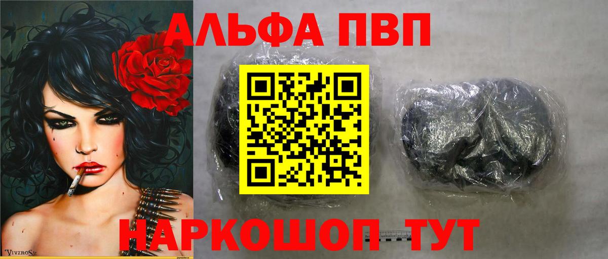 A PVP СК КРИС Белгород