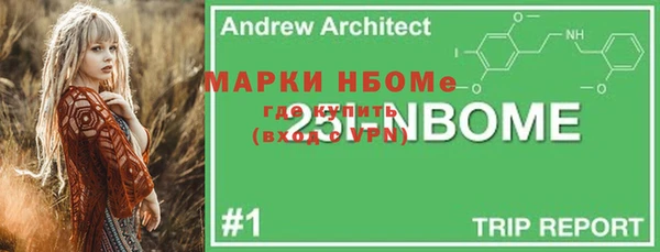 ПСИЛОЦИБИНОВЫЕ ГРИБЫ Лагань