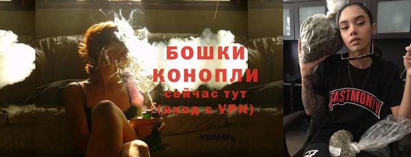 ПСИЛОЦИБИНОВЫЕ ГРИБЫ Лагань