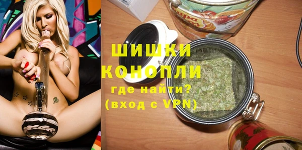 ПСИЛОЦИБИНОВЫЕ ГРИБЫ Лагань