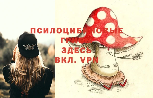 кокс Лабытнанги