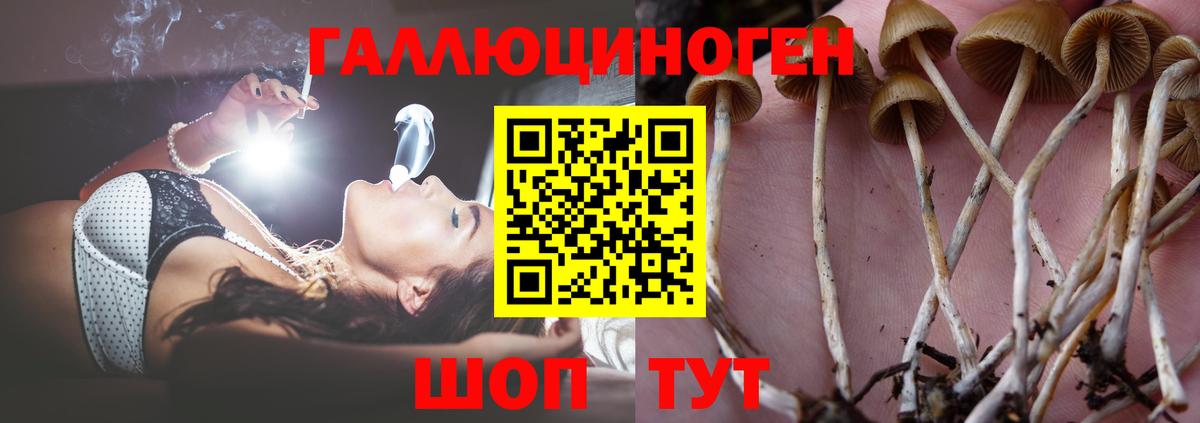 Псилоцибиновые грибы ЛСД Белгород